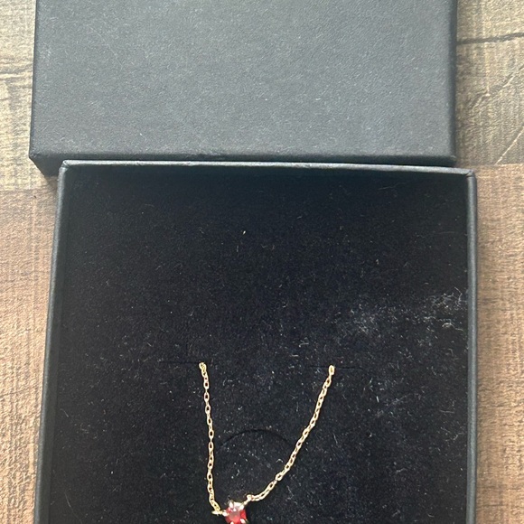 Catbird Rothko's Garnet Gold Necklace - Picture 1 of 4